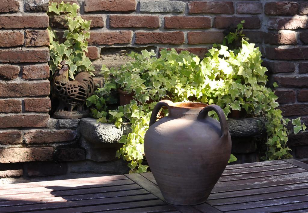 B&B Edera Castagnole Piemonte Zewnętrze zdjęcie