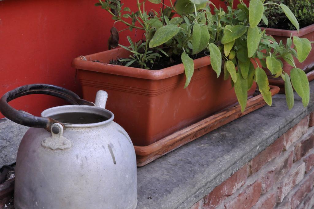 B&B Edera Castagnole Piemonte Zewnętrze zdjęcie