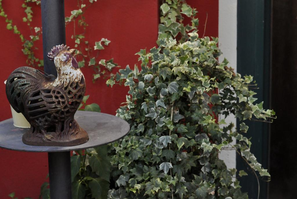 B&B Edera Castagnole Piemonte Zewnętrze zdjęcie